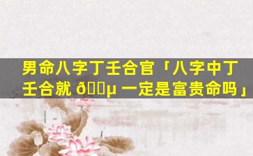 男命八字丁壬合官「八字中丁壬合就 🌵 一定是富贵命吗」